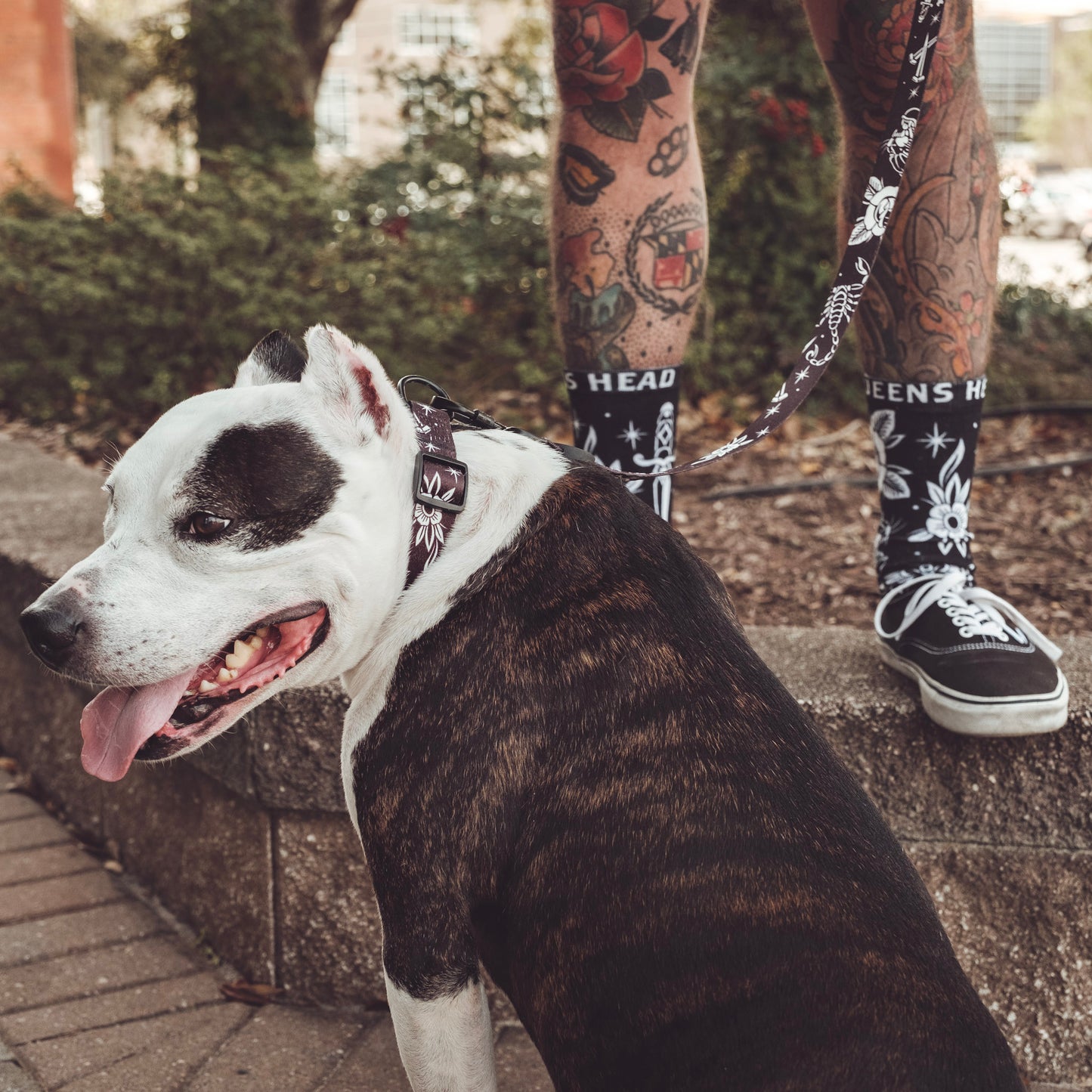 BLACK FLASH LEASH